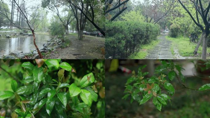4K实拍春天城市小区池塘林间小路清明雨景