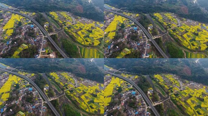 春季中国乡村景观鸟瞰图，油菜种子盛开，公路旁村庄