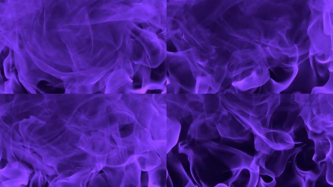 高清慢动作：抽象的紫色火焰