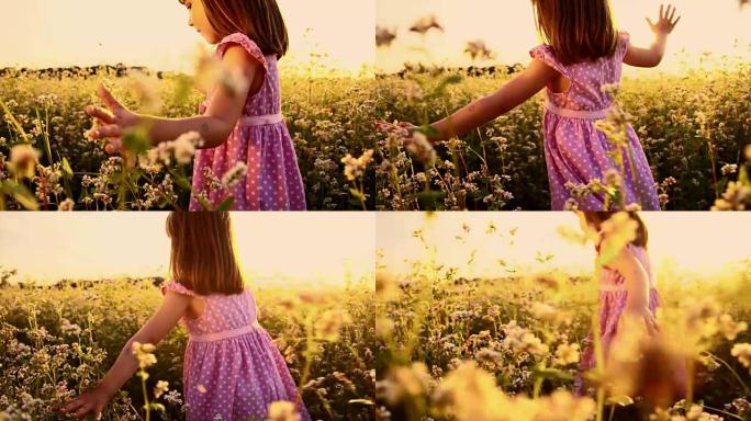 日落时分，在荞麦地里的小女孩
