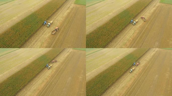 AERIAL农民用拖拉机收割玉米