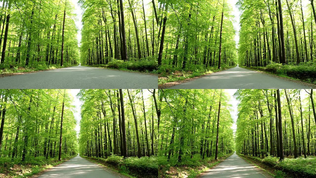 高清起重机: 穿越绿色森林的道路