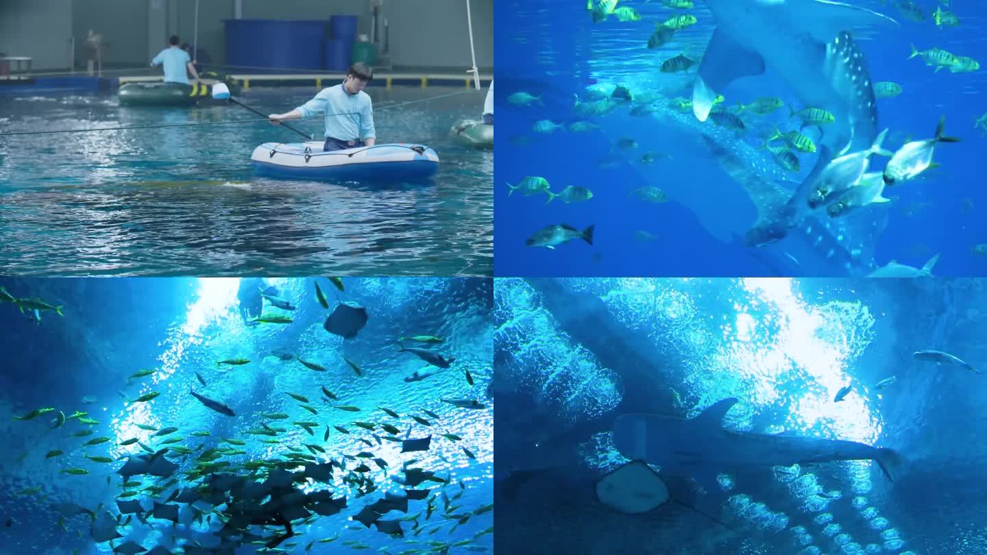海洋馆 水下生物 海底世界