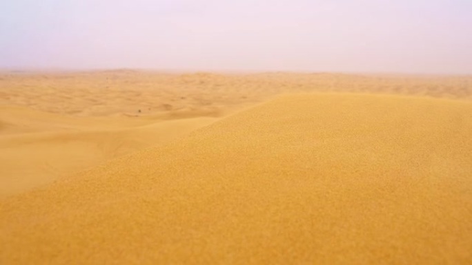 SLO MO沙漠中的风