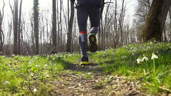 高清稳定: 森林中的慢跑者