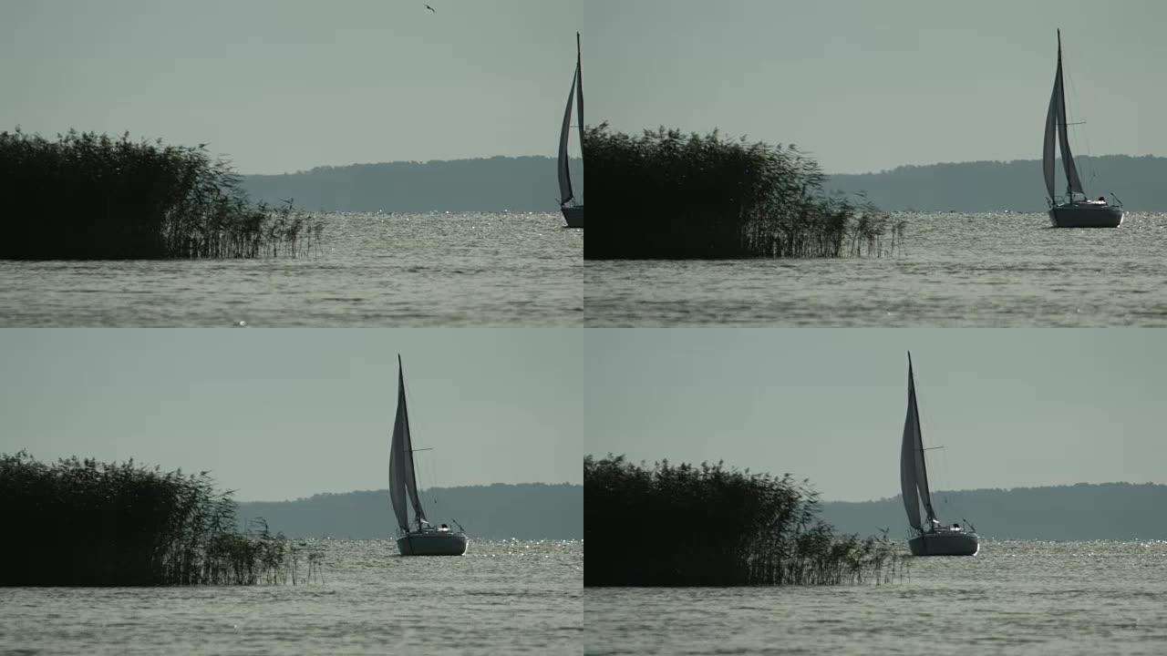 湖上的帆船波光粼粼的湖面帆船