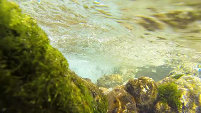 POV清洁流山涧溪流水下摄像