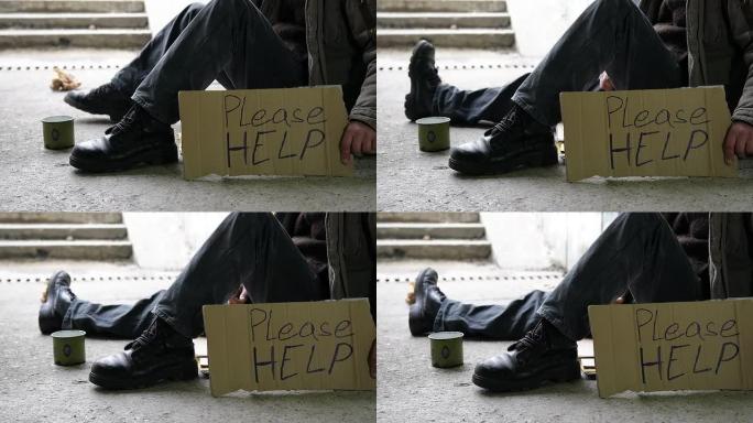 高清多莉: 无家可归的乞求帮助