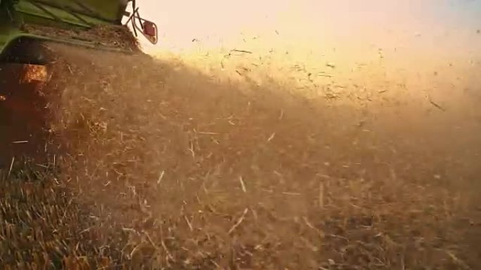 联合收割机切割小麦的SLO MO粉尘