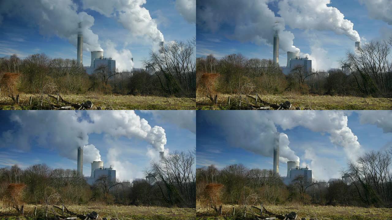 多莉：环境破坏大气污染