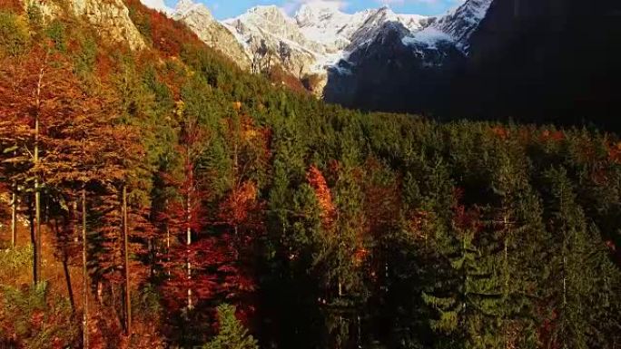 卡姆尼克-萨维尼亚阿尔卑斯山的空中秋季森林