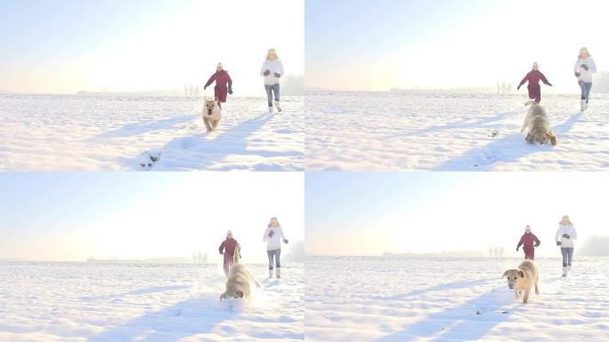 SLO MO妈妈和女儿带着他们的小狗跑步