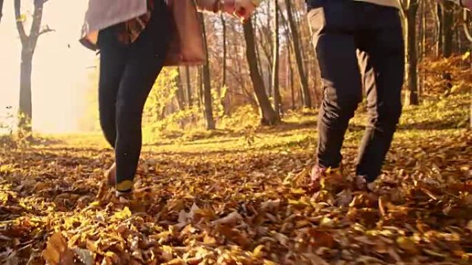 SLO MO夫妇在秋天的森林里玩得开心