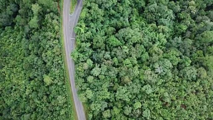 森林和汽车驾驶的鸟瞰图，十字路口