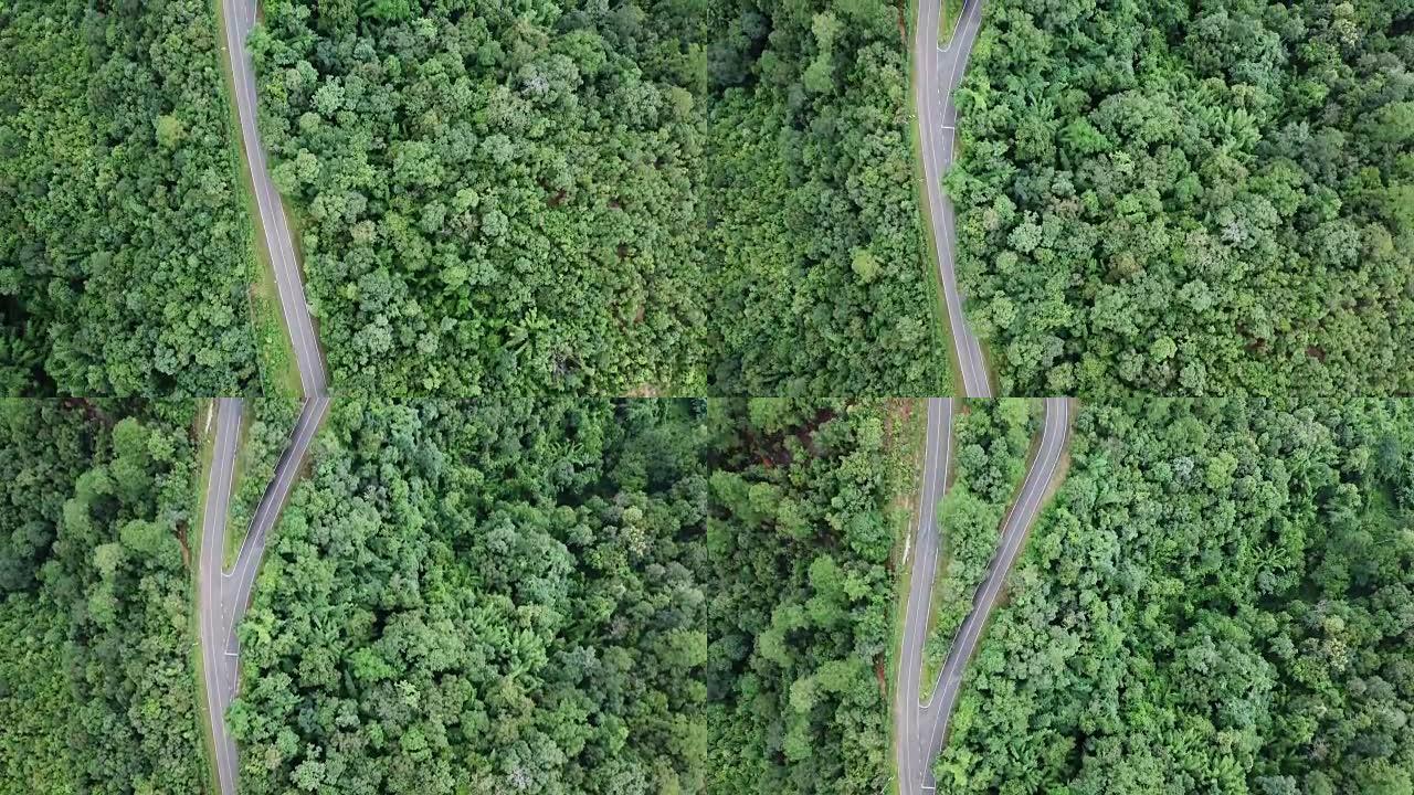 森林和汽车驾驶的鸟瞰图，十字路口