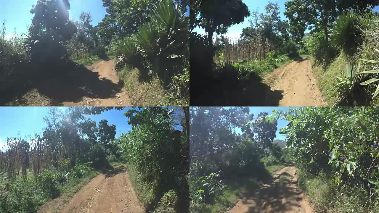 马达加斯加的泥泞道路