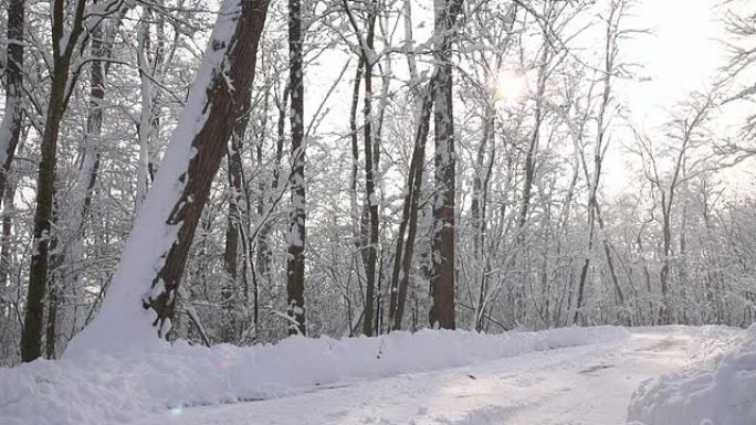 高清超慢MO: 雪落在路上