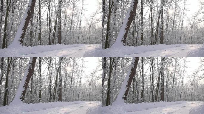 高清超慢MO: 雪落在路上