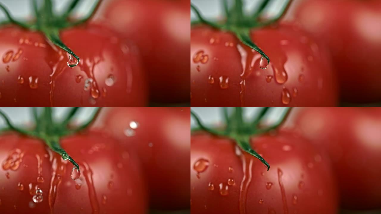 SLO MO CU水滴溅到新鲜的番茄上