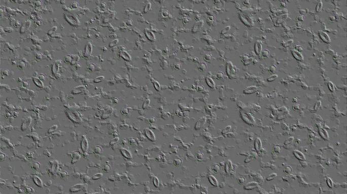 显微细胞压花显微细胞压花