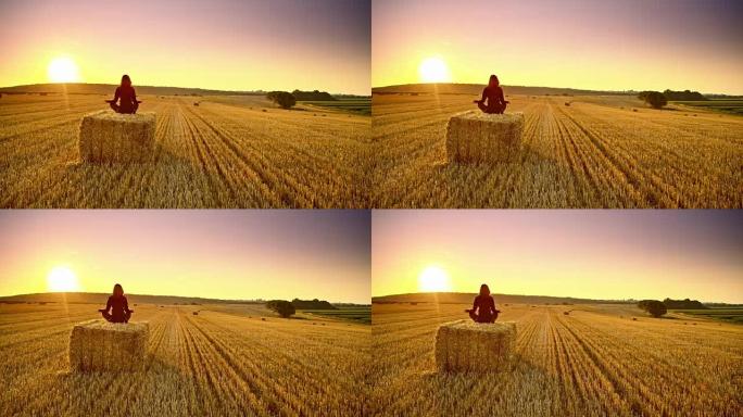 DS女人在日落时沉思在一捆小麦上