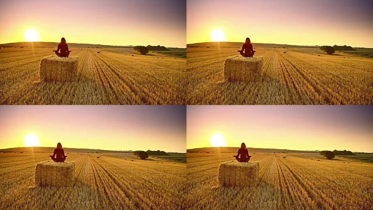 DS女人在日落时沉思在一捆小麦上