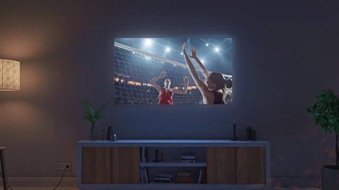 客厅电视机上的排球比赛