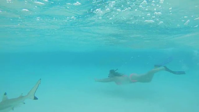 水下: 无忧无虑的女孩在鲨鱼出没的翡翠海洋中平静地浮潜。