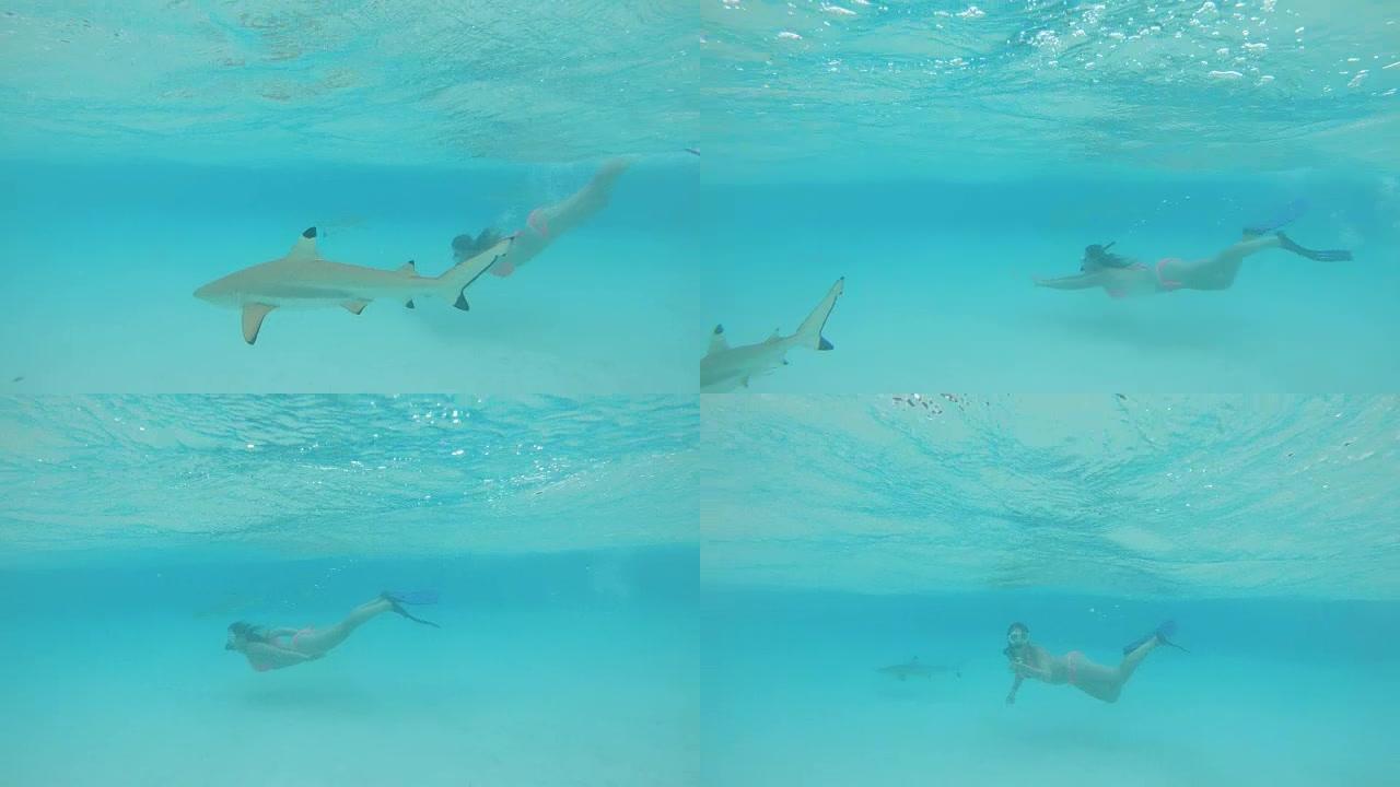 水下: 无忧无虑的女孩在鲨鱼出没的翡翠海洋中平静地浮潜。
