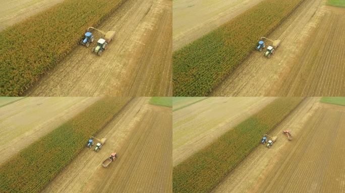 AERIAL农民用农业机械收割玉米