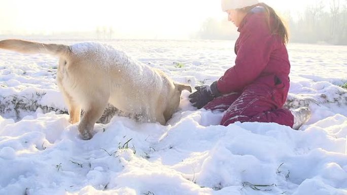 SLO MO女孩在雪地里玩小狗