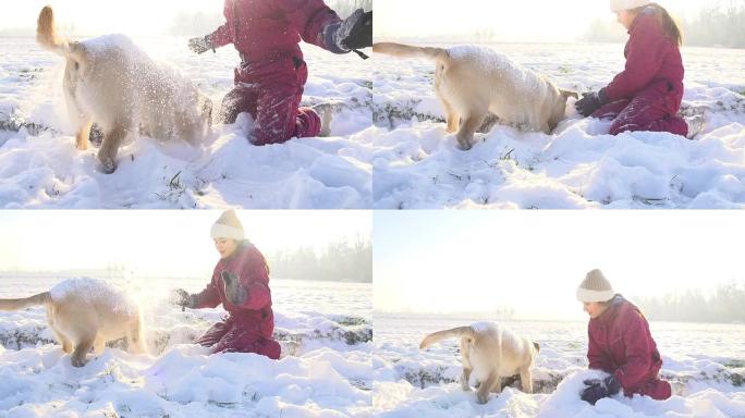 SLO MO女孩在雪地里玩小狗