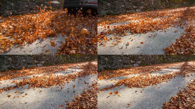 汽车在覆盖着五颜六色的秋叶的道路上行驶