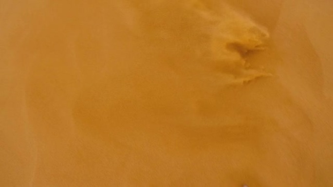 SLO MO赤脚在沙漠中行走