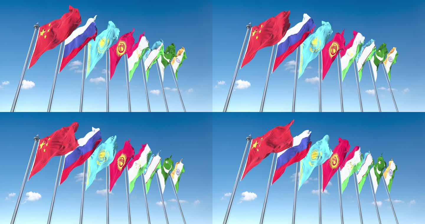 上和组织8国旗帜