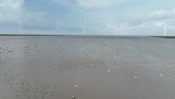 如东滩涂海上风力发电航拍