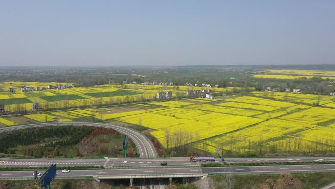 油菜花田野高速公路航拍6 无剪辑无压缩