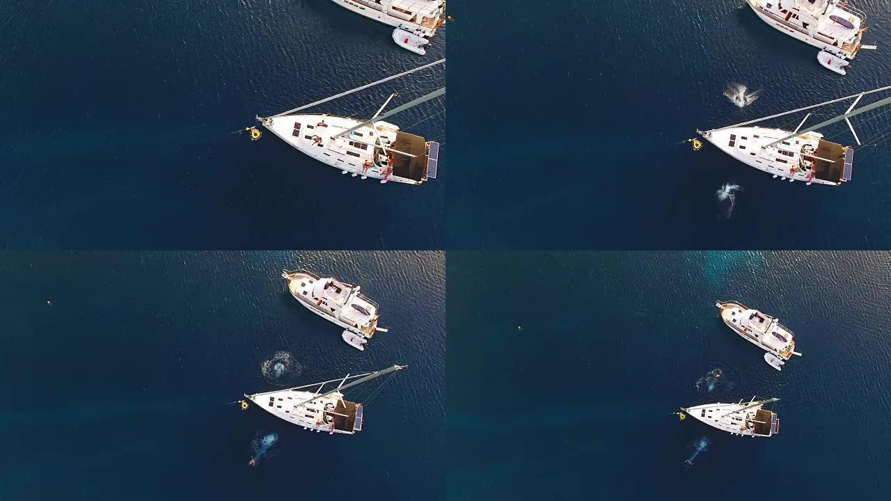 空中游客从帆船上跳入海中