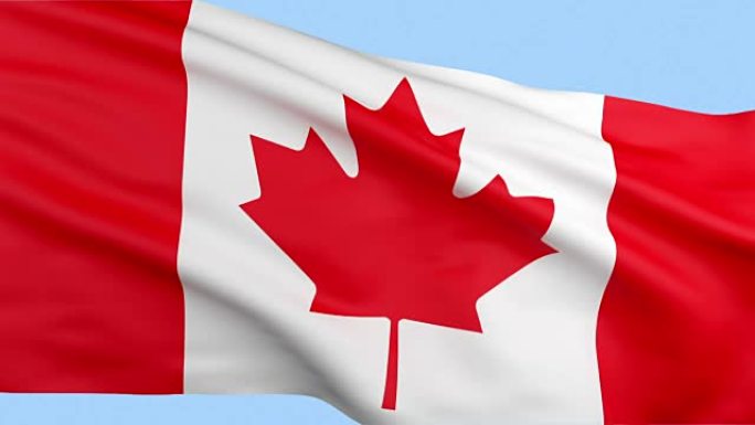 挥舞着可循环的加拿大国旗