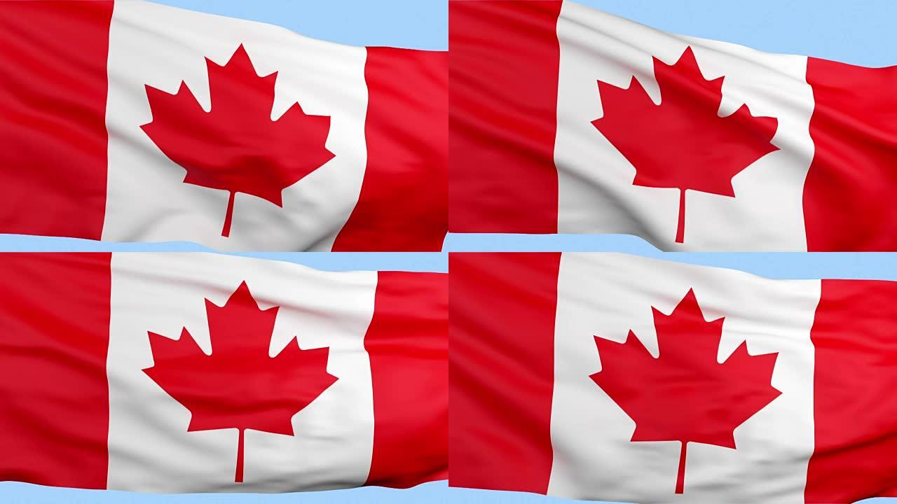 挥舞着可循环的加拿大国旗