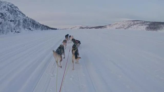 POV游客在挪威玩有趣的狗拉雪橇
