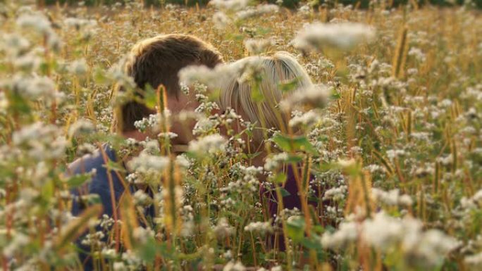 高清：情侣在草地上接吻