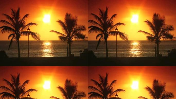 NTSC：日落时分的棕榈树