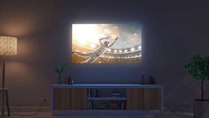 客厅电视机上的板球游戏
