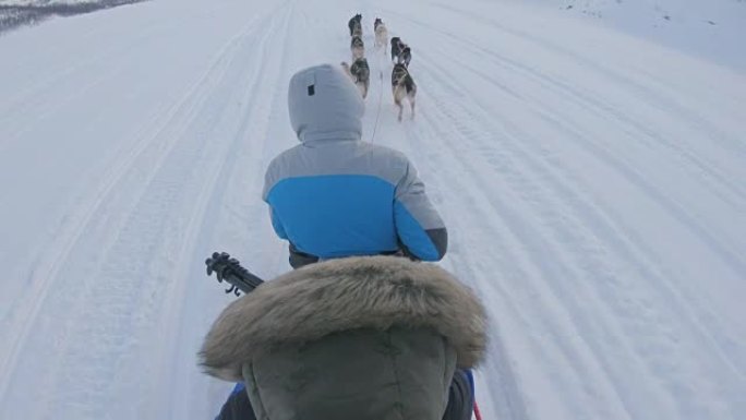 SLO MO POV游客在挪威玩有趣的狗拉雪橇