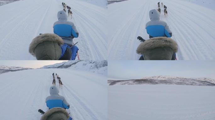 SLO MO POV游客在挪威玩有趣的狗拉雪橇