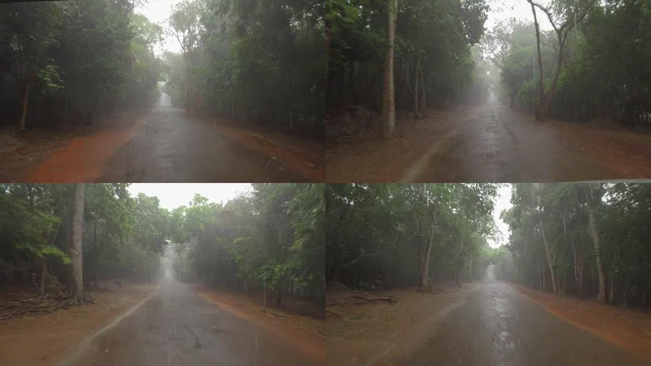 POV: 在雨季的雨天，在崎bump不平的森林道路上行驶。