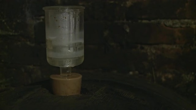 HD DOLLY：桶内发酵葡萄酒