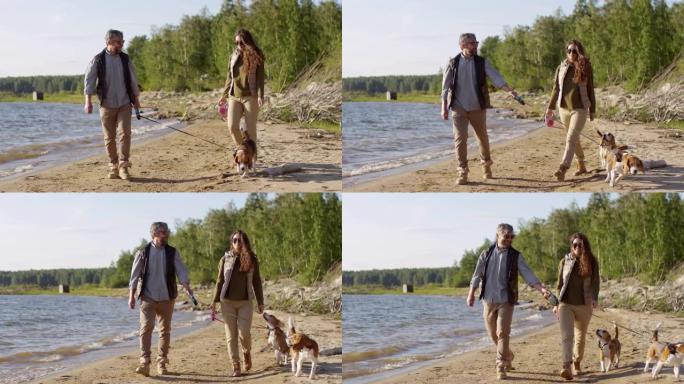 旅游夫妇与比格犬一起沿着湖岸线散步