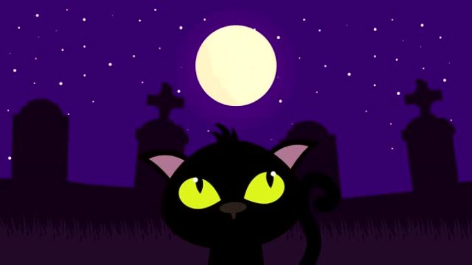 万圣节黑暗场景与猫在墓地